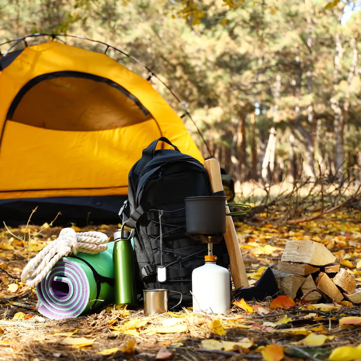 Hiking Backpack/Sticks